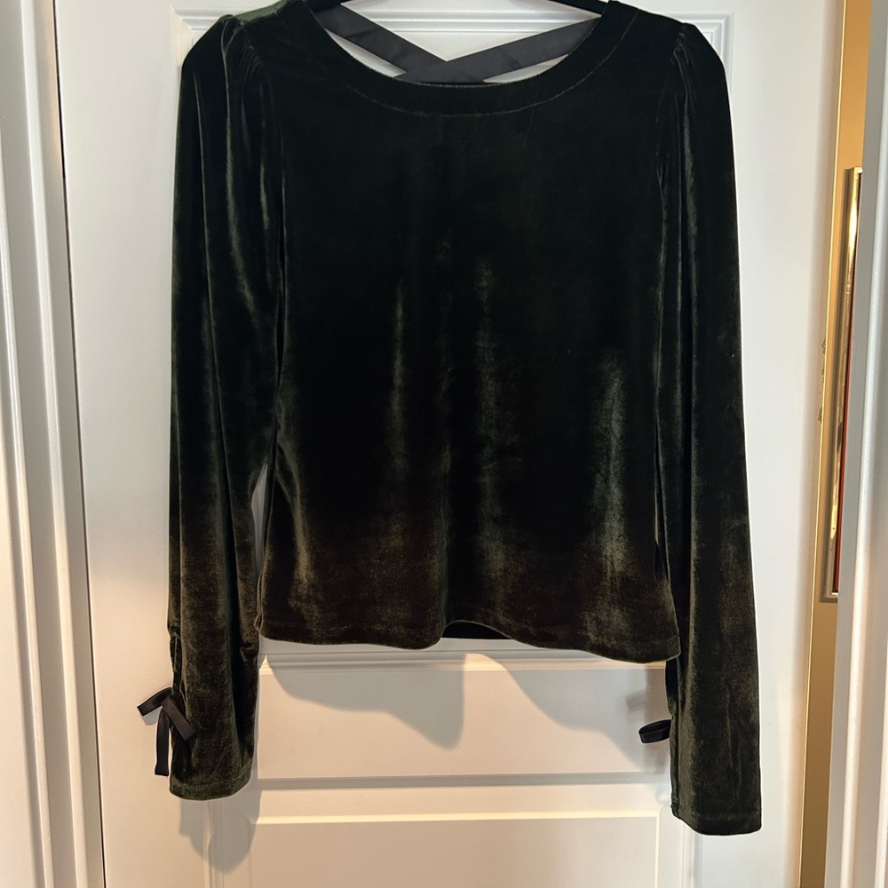 Anthropologie Velvet Green Blouse